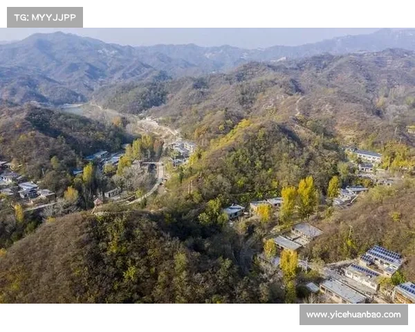 定军山之战为何成为曹魏扭转局势的决定性胜利与历史意义分析