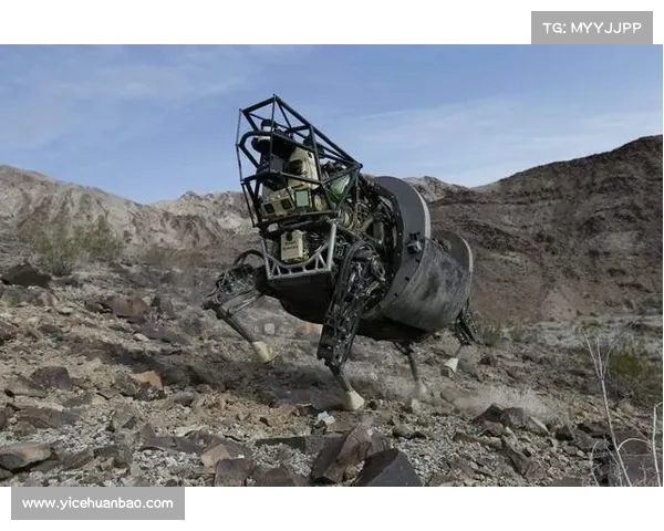 战斗中的龙跃武器与蓄能值机制解析及应用技巧探讨 战斗中的龙跃武器与蓄能值机制解析及应用技巧探讨