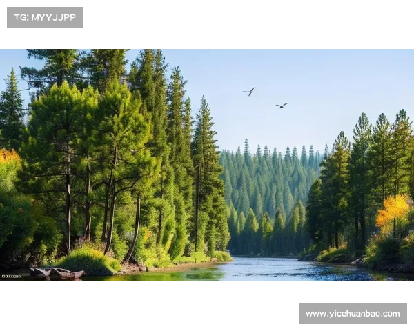 永歌森林探秘之旅:走进大自然的奇妙世界与未知奥秘 永歌森林探秘之旅:走进大自然的奇妙世界与未知奥秘